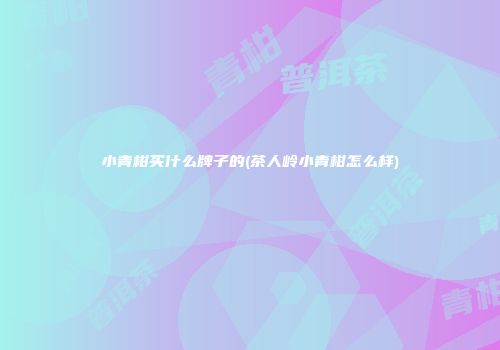 小青柑买什么牌子的(茶人岭小青柑怎么样)