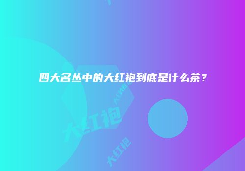 四大名丛中的大红袍到底是什么茶？