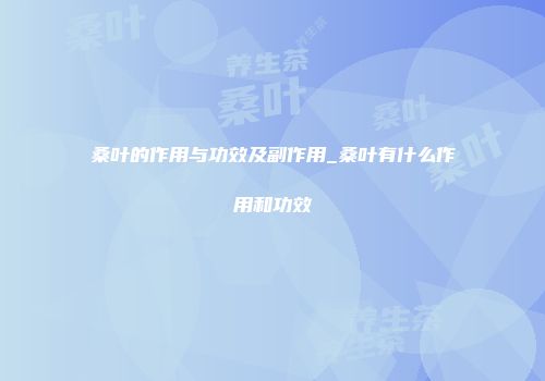 桑叶的作用与功效及副作用_桑叶有什么作用和功效