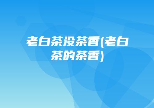 老白茶没茶香(老白茶的茶香)