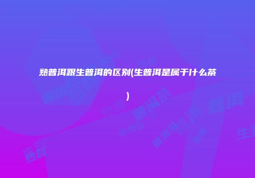 熟普洱跟生普洱的区别(生普洱是属于什么茶)