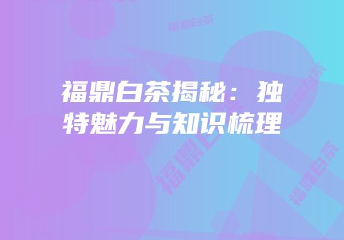 福鼎白茶揭秘：独特魅力与知识梳理