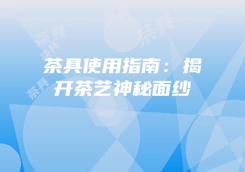 茶具使用指南：揭开茶艺神秘面纱