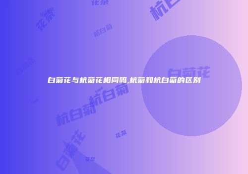 白菊花与杭菊花相同吗,杭菊和杭白菊的区别