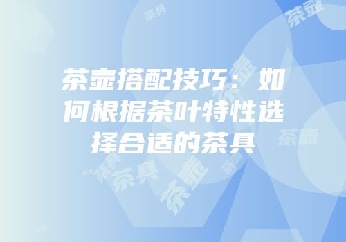 茶壶搭配技巧：如何根据茶叶特性选择合适的茶具