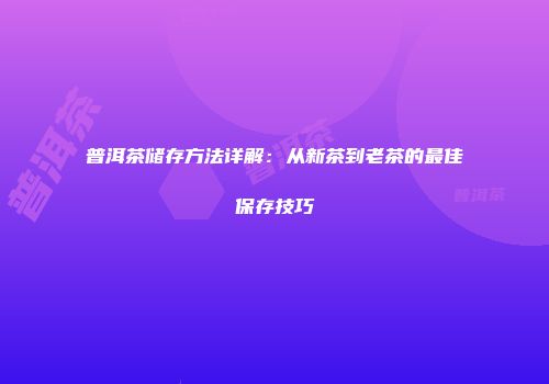 普洱茶储存方法详解：从新茶到老茶的最佳保存技巧