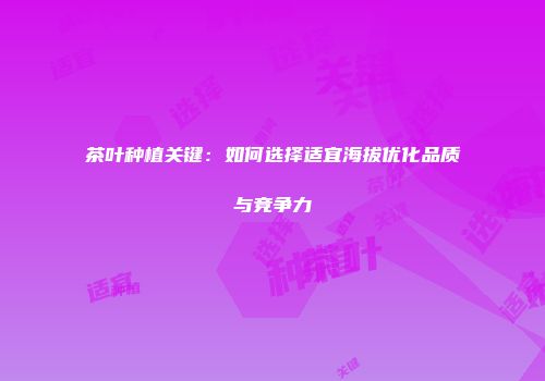 茶叶种植关键：如何选择适宜海拔优化品质与竞争力
