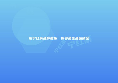 川宁红茶品种解析：探寻最佳品味体验