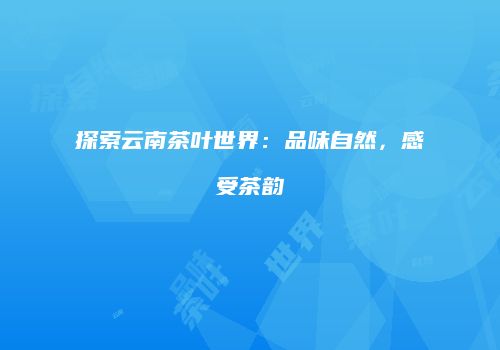 探索云南茶叶世界：品味自然，感受茶韵