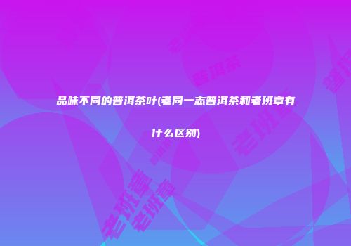 品味不同的普洱茶叶(老同一志普洱茶和老班章有什么区别)