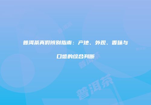 普洱茶真假辨别指南：产地、外观、香味与口感的综合判断