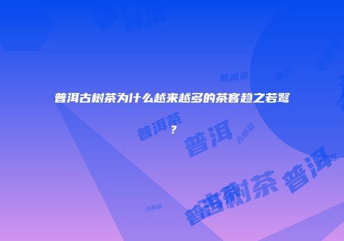 普洱古树茶为什么越来越多的茶客趋之若鹜？