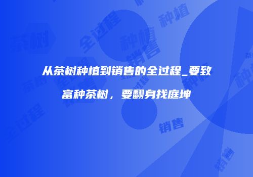 从茶树种植到销售的全过程_要致富种茶树，要翻身找庭坤