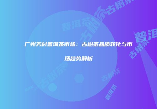 广州芳村普洱茶市场：古树茶品质转化与市场趋势解析