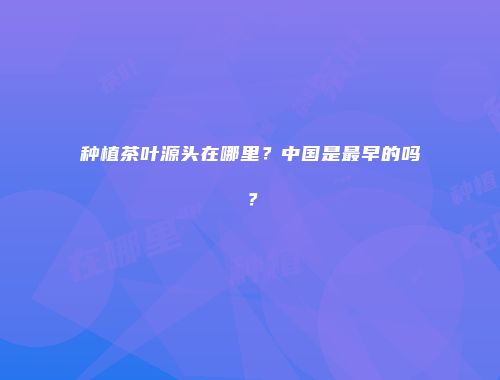 种植茶叶源头在哪里？中国是最早的吗？