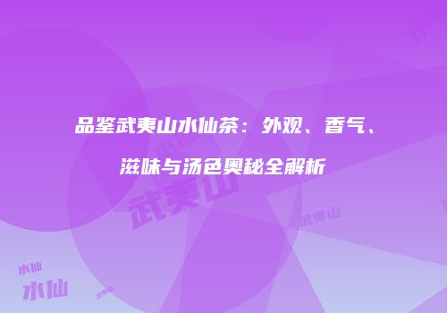 品鉴武夷山水仙茶：外观、香气、滋味与汤色奥秘全解析