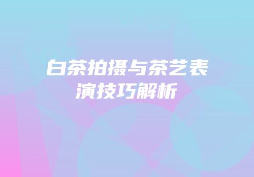 白茶拍摄与茶艺表演技巧解析