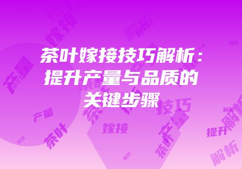 茶叶嫁接技巧解析：提升产量与品质的关键步骤