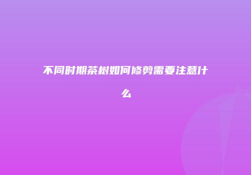 不同时期茶树如何修剪需要注意什么