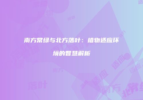 南方常绿与北方落叶：植物适应环境的智慧解析