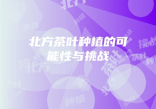 北方茶叶种植的可能性与挑战