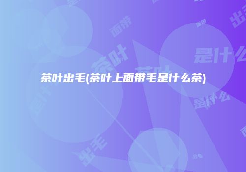 茶叶出毛(茶叶上面带毛是什么茶)