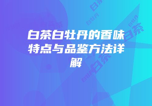 白茶白牡丹的香味特点与品鉴方法详解