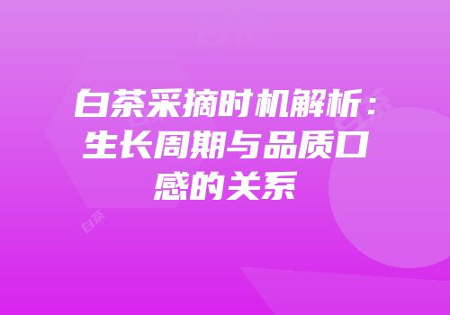白茶采摘时机解析：生长周期与品质口感的关系