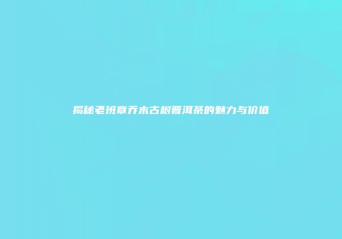 揭秘老班章乔木古树普洱茶的魅力与价值