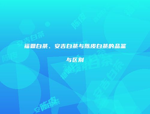 福鼎白茶、安吉白茶与陈皮白茶的品鉴与区别