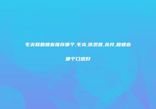 毛尖和碧螺春推荐哪个,毛尖,铁观音,龙井,碧螺春哪个口感好