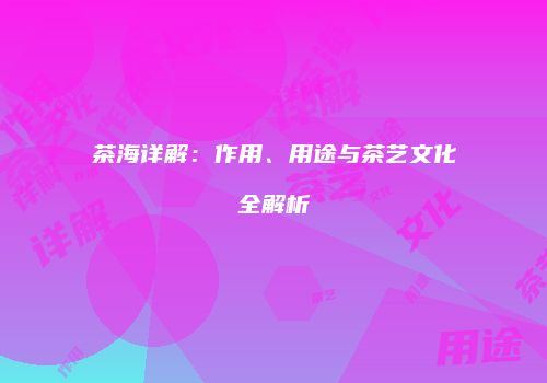 茶海详解：作用、用途与茶艺文化全解析