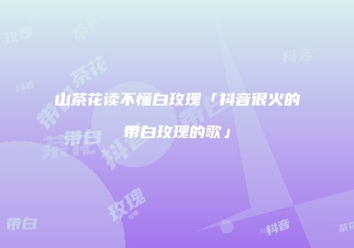 山茶花读不懂白玫瑰「抖音很火的带白玫瑰的歌」