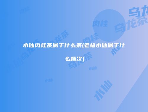 水仙肉桂茶属于什么茶(老枞水仙属于什么档次)
