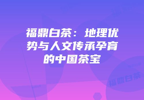 福鼎白茶：地理优势与人文传承孕育的中国茶宝
