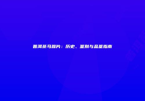 普洱茶马蹄片：历史、鉴别与品鉴指南