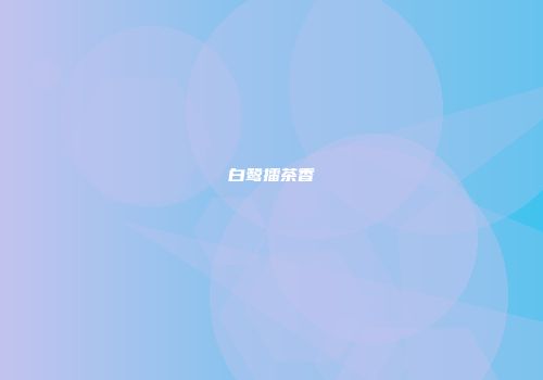 白鹭擂茶香