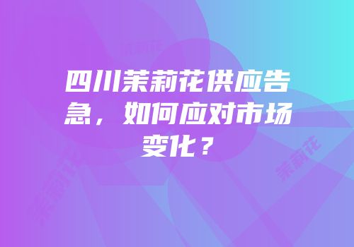 四川茉莉花供应告急，如何应对市场变化？