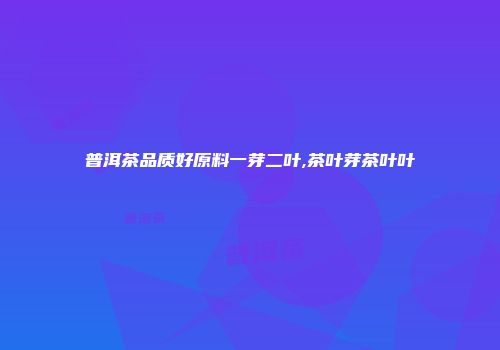 普洱茶品质好原料一芽二叶,茶叶芽茶叶叶