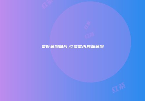 茶叶萎凋图片,红茶室内自然萎凋