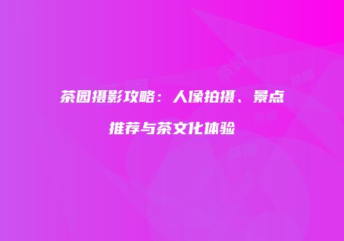 茶园摄影攻略：人像拍摄、景点推荐与茶文化体验
