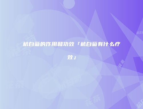 杭白菊的作用和功效「杭白菊有什么疗效」