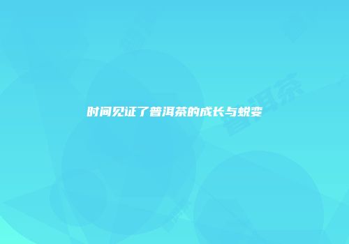 时间见证了普洱茶的成长与蜕变