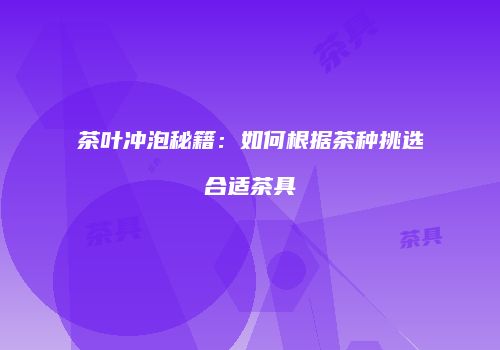 茶叶冲泡秘籍：如何根据茶种挑选合适茶具
