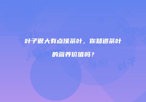 叶子很大有点像茶叶，你知道茶叶的营养价值吗？