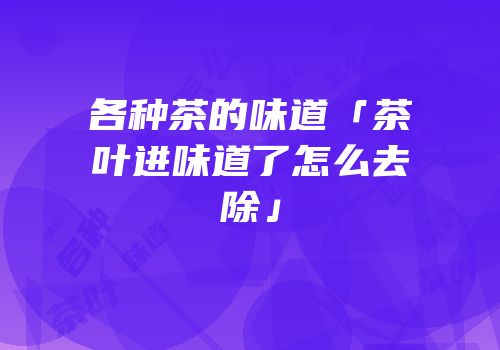 各种茶的味道「茶叶进味道了怎么去除」