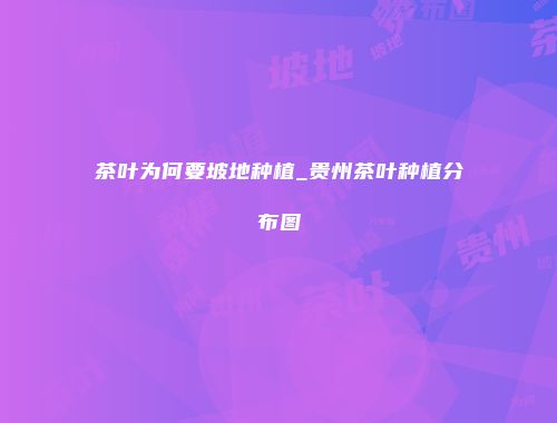 茶叶为何要坡地种植_贵州茶叶种植分布图