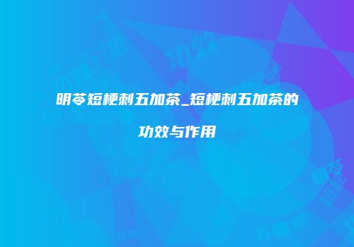 明苓短梗刺五加茶_短梗刺五加茶的功效与作用