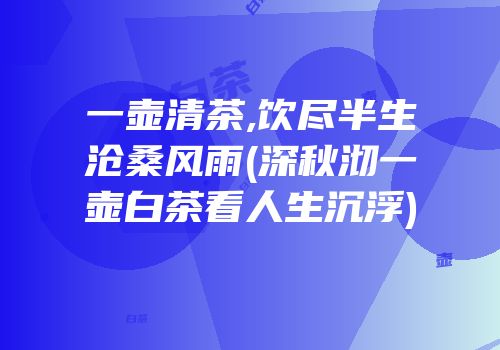 一壶清茶,饮尽半生沧桑风雨(深秋沏一壶白茶看人生沉浮)
