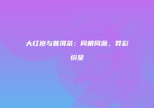 大红袍与普洱茶：同根同源，异彩纷呈